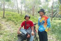 Oplus_0
