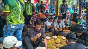Festival Durian Songgon di Banyuwangi: Ada Durian Pelangi, Durian Merah, hingga Durian Kuningi