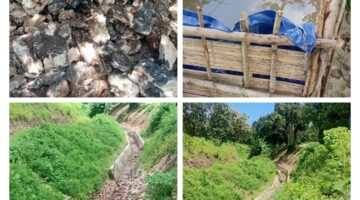 Proyek Irigasi Mbewi Mangkrak: 200 Hektar Sawah Lumpuh Total, Masyarakat Minta Perbaikan