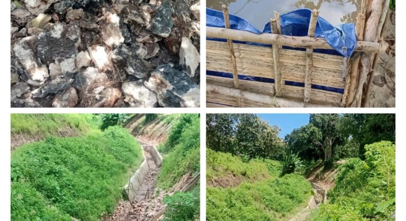 foto slider headline