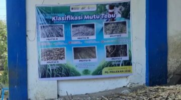 PG Prajekan Bondowoso Targetkan Produksi 40 Ribu Ton Di Musim Giling