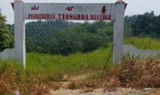 berita-pilihan-foto