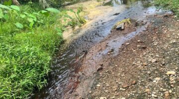 WARGA LAPORKAN DUGAAN PENCEMARAN SUNGAI AMUT OLEH LIMBAH CAIR PKS PT MAS DI TANJUNG PAUH